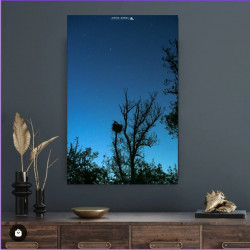 Oeuvre N°106/200, Le commencement N°1/2 _ Ex.3/5 _ Cigogne sous les étoiles