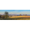 Oeuvre N°042/200, A l'or des Anciens _ Monségur _ Bordeaux _ Lot et Garonne _ campagne et agriculture