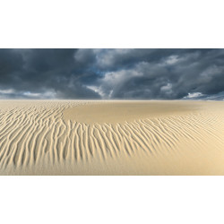 Oeuvre N°144/200, Vibrations Fantomatiques _ Dune du Pilat, La Test de Buch, Arcachon