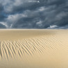 Oeuvre N°144/200, Vibrations Fantomatiques _ Dune du Pilat, La Test de Buch, Arcachon