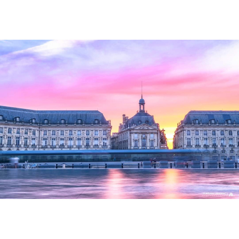 Oeuvre N°019/200, Au coeur de mes vignes _ Bordeaux _ Vignobles et monuments bordelais