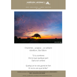 Oeuvre N°062,  Charente _ Jurignac _ Le solitaire