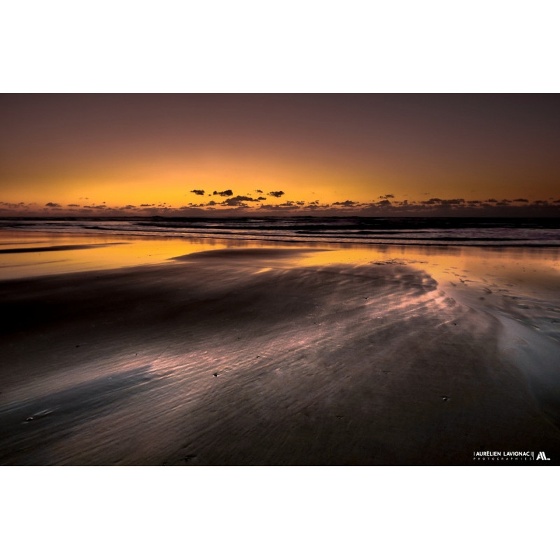 Oeuvre N°075, L'or noir _ Médoc Atlantique Sud _ Bassin d'Arcachon