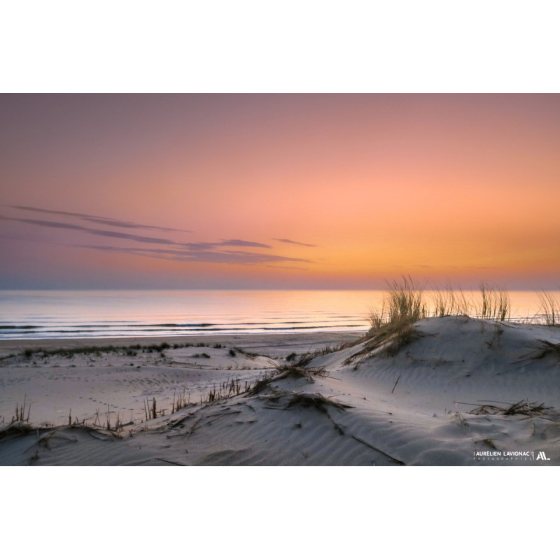 Oeuvre N°071/200, Douceur Matinale _ Le porge