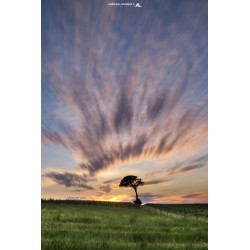 Oeuvre N°136/200, Fusion...