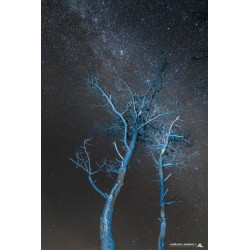 Oeuvre N°093/200, Deux...