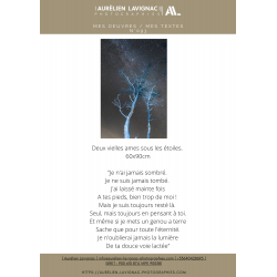 Oeuvre N°093/200, Deux vielles âmes sous les étoiles. _ Dune du Pilat _ Pin incendie