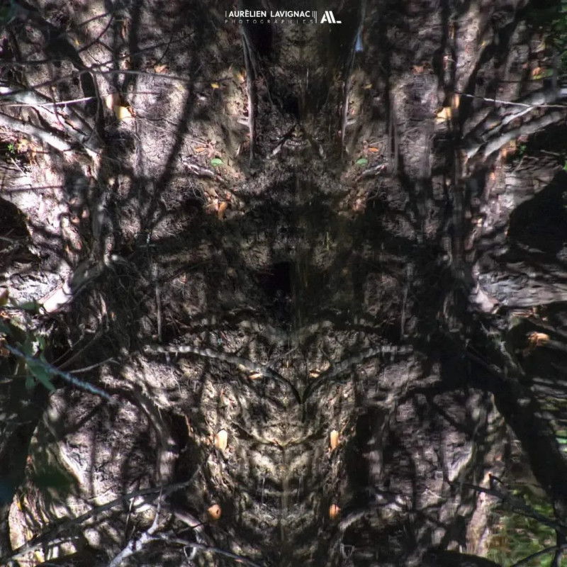 Oeuvre N°171/200, Mère Nature nous observe, Monségur, Gironde