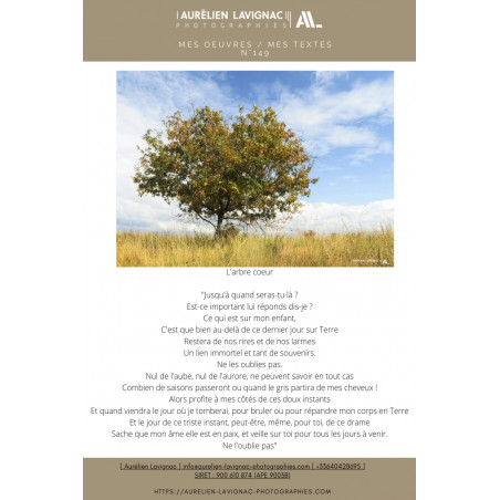 Oeuvre N°148/200, L'arbre Coeur, route des Landes et de Gironde