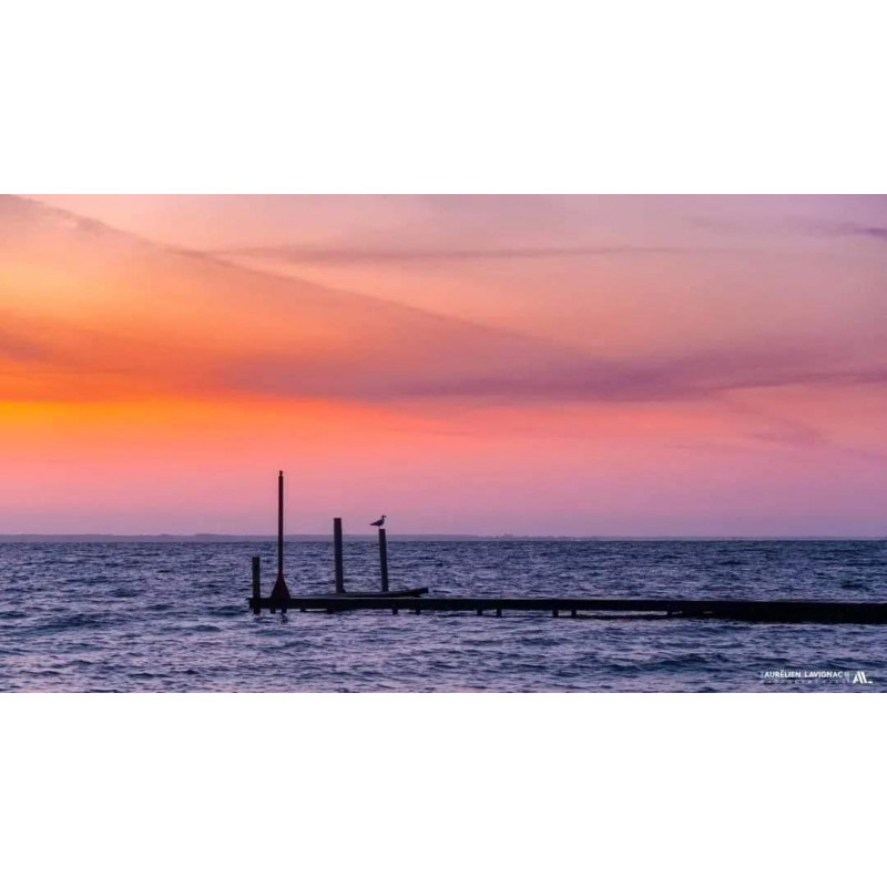 Oeuvre N°170/200 _  Je contemple le Monde _ Biscarrosse